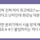 리즈붙임머리 네이버블로그