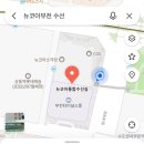 뉴코아수선