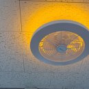 신일 | 실링팬 장점 단점 에어라트론 비교해본 신일 후기