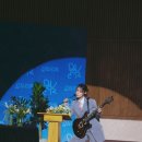 피어나 이미지