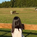 상희목장 이미지