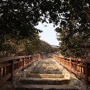 동백코스(서천-군산) 이미지