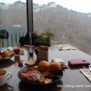 포레스트 12 자연휴양림 이미지