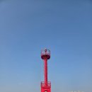 소라인(in)문어 | 해루질장비 스텐악어만능집게 뱀집게로도 활용