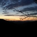 축령산휴림 이미지