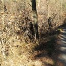 가나안농장2농장 이미지