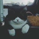 백사장 힐하우스 이미지