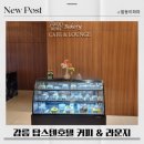 강원도 강릉 탑스텐호텔 카페라운지 내돈내산 리얼후기