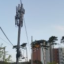 통신주설치 - 1199 | 통신주설치