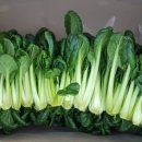 정주농장 이미지