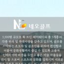 네오스크린골프