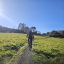 백마흔여섯번째 2026년 7월 12일 : Barry Curtis Park - Totara MTB Park 이미지