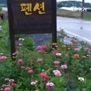 [논산 펜션 추천] 들꽃 펜션: 논산 여행의 편안한 휴식처 이미지