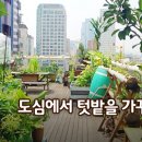 텃밭 이미지