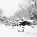 설경민박 이미지