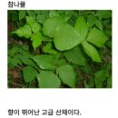 은대민박 네이버블로그