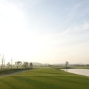 솔라고CC 라고 이미지