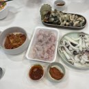 이아빌리지 | 거제애견동반펜션 풀빌라 감성숙소 이아빌리지 자쿠지룸