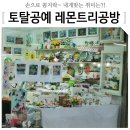 레몬트리공방 - 제주시 신북로 92-1 | 레몬트리공방