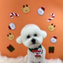 동그리멍 이미지