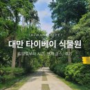 대만 타이베이 식물원 방문 후기 및 팁 부모님 어르신 동반 대만여행 필수 코스 정리