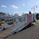 동백자연에너지 | 제주 서귀포 가볼만한곳, 윈드1947 안 숨은 동백정원 산책로 가족사진 (제주 동백꽃)