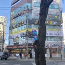 예아트21 | 포항피부관리_얼굴윤곽축소관리_전후사진차이대박이에요_근육하나하나다만져주심
