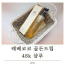 지루성두피 걱정에 선택한 레베코코 48k샴푸 사용 후기