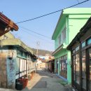 노화상회 이미지