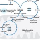 센트럴 약국 이미지