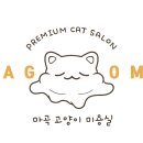 야옹아놀자 마곡점 이미지