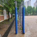 서울서강초등학교 이미지