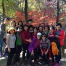 해오름농장 3 이미지