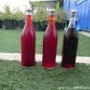 두봉농장 이미지