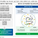 디앤디(D&D) 이미지