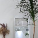 콰이어트그레이 이미지