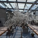 미선축산 이미지