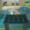 매미와 함께하는 여름여행 이미지