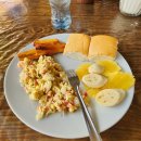 나리롯지 | 나홀로 남미/DAY5,6,7/아마존 정글 속으로 2박3일