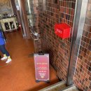 이디오피아집(벳) 이미지