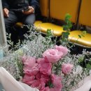 태평양화원