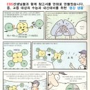 삼성영어플러스수학학원
