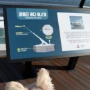 정동진식당 | 정동진 애견동반식당 아침에 먹는 보쌈.막국수 후기(내돈내산)