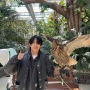 소중한사람들 | 국내 이색체험/경북 경주]-소중한 사람들과 버드파크에 다녀온 후기! [feat.경주월드 드라켄 구경]