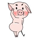 코쿤애월 이미지