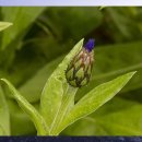 자동차생활 이미지