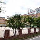 신미림초등학교 이미지