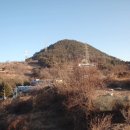 태인동 장내마을 이미지