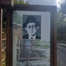 이상기목장 | 강원도 평창 그리고 대관령 삼양목장 늦은 여행후기...