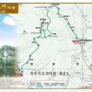 포남시장(버스정류장) 이미지